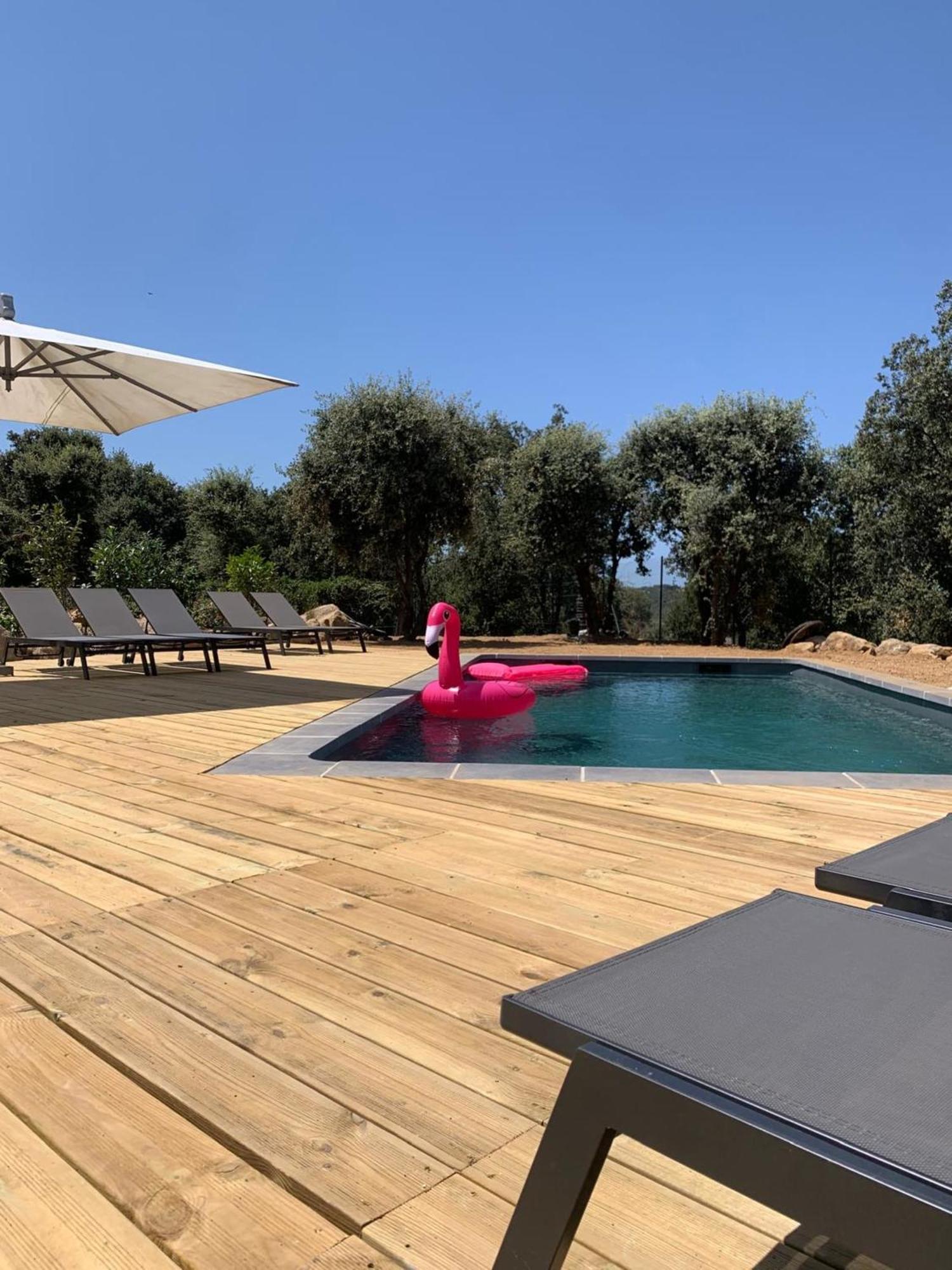 Residence 3 Etoiles Pietra Gemina - Appartements De Vacances, Au Calme, Avec Piscine Calenzana Exterior foto